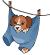 Gifs animados Animales - Imagenes animadas de Animales