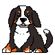 Gifs animados Animales - Imagenes animadas de Animales
