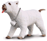 Gifs animados Animales - Imagenes animadas de Animales