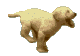 Gifs animados Animales - Imagenes animadas de Animales