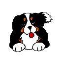 Gifs animados Animales - Imagenes animadas de Animales