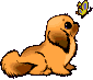 Gifs animados Animales - Imagenes animadas de Animales