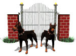Gifs animados Animales - Imagenes animadas de Animales