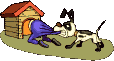 Gifs animados Animales - Imagenes animadas de Animales