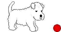 Gifs animados Animales - Imagenes animadas de Animales