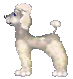 Gifs animados Animales - Imagenes animadas de Animales