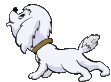Gifs animados Animales - Imagenes animadas de Animales