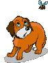 Gifs animados Animales - Imagenes animadas de Animales