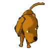 Gifs animados Animales - Imagenes animadas de Animales