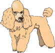 Gifs animados Animales - Imagenes animadas de Animales