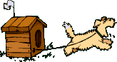 Gifs animados Animales - Imagenes animadas de Animales