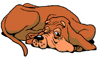 Gifs animados Animales - Imagenes animadas de Animales