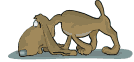 Gifs animados Animales - Imagenes animadas de Animales
