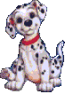 Gifs animados Animales - Imagenes animadas de Animales