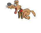Gifs animados Animales - Imagenes animadas de Animales