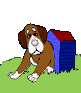 Gifs animados Animales - Imagenes animadas de Animales
