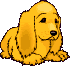Gifs animados Animales - Imagenes animadas de Animales