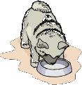Gifs animados Animales - Imagenes animadas de Animales