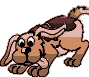 Gifs animados Animales - Imagenes animadas de Animales