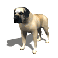 Gifs animados Animales - Imagenes animadas de Animales