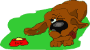 Gifs animados Animales - Imagenes animadas de Animales