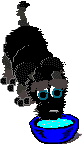 Gifs animados Animales - Imagenes animadas de Animales