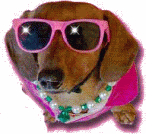 Gifs animados Animales - Imagenes animadas de Animales