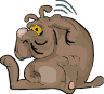 Gifs animados Animales - Imagenes animadas de Animales