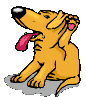 Gifs animados Animales - Imagenes animadas de Animales