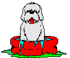 Gifs animados Animales - Imagenes animadas de Animales
