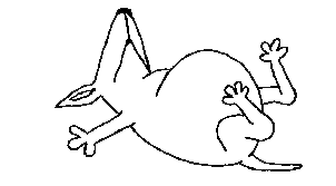 Gifs animados Animales - Imagenes animadas de Animales