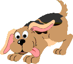 Gifs animados Animales - Imagenes animadas de Animales
