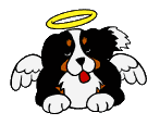 Gifs animados Animales - Imagenes animadas de Animales
