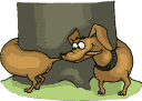 Gifs animados Animales - Imagenes animadas de Animales