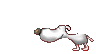 Gifs animados Animales - Imagenes animadas de Animales
