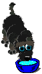 Gifs animados Animales - Imagenes animadas de Animales