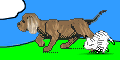 Gifs animados Animales - Imagenes animadas de Animales