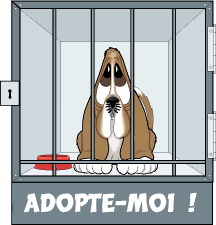 Gifs animados Animales - Imagenes animadas de Animales