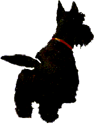 Gifs animados Animales - Imagenes animadas de Animales