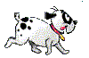 Gifs animados Animales - Imagenes animadas de Animales