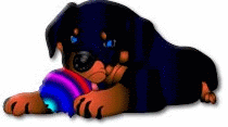 Gifs animados Animales - Imagenes animadas de Animales