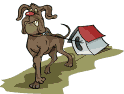 Gifs animados Animales - Imagenes animadas de Animales