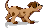 Gifs animados Animales - Imagenes animadas de Animales