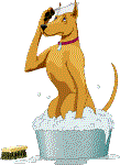 Gifs animados Animales - Imagenes animadas de Animales
