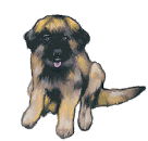 Gifs animados Animales - Imagenes animadas de Animales