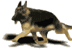 Gifs animados Animales - Imagenes animadas de Animales