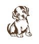 Gifs animados Animales - Imagenes animadas de Animales