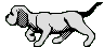 Gifs animados Animales - Imagenes animadas de Animales