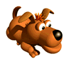 Gifs animados Animales - Imagenes animadas de Animales