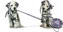 Gifs animados Animales - Imagenes animadas de Animales